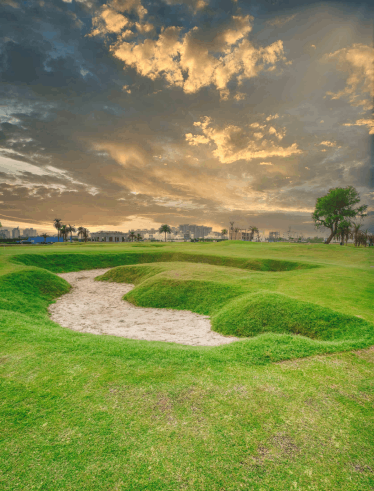 Vedam homes in gurugram